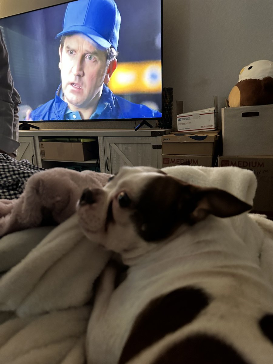 MissKsLab's tweet photo. #PuppyBowl https://t.co/k6DoefZ3P1