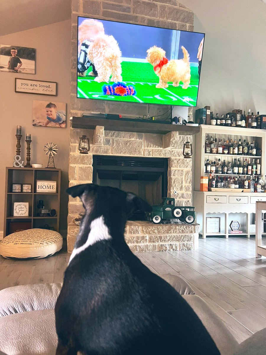 #PuppyBowl #PuppyBowlXX Minnie says Go Sweet Pea!