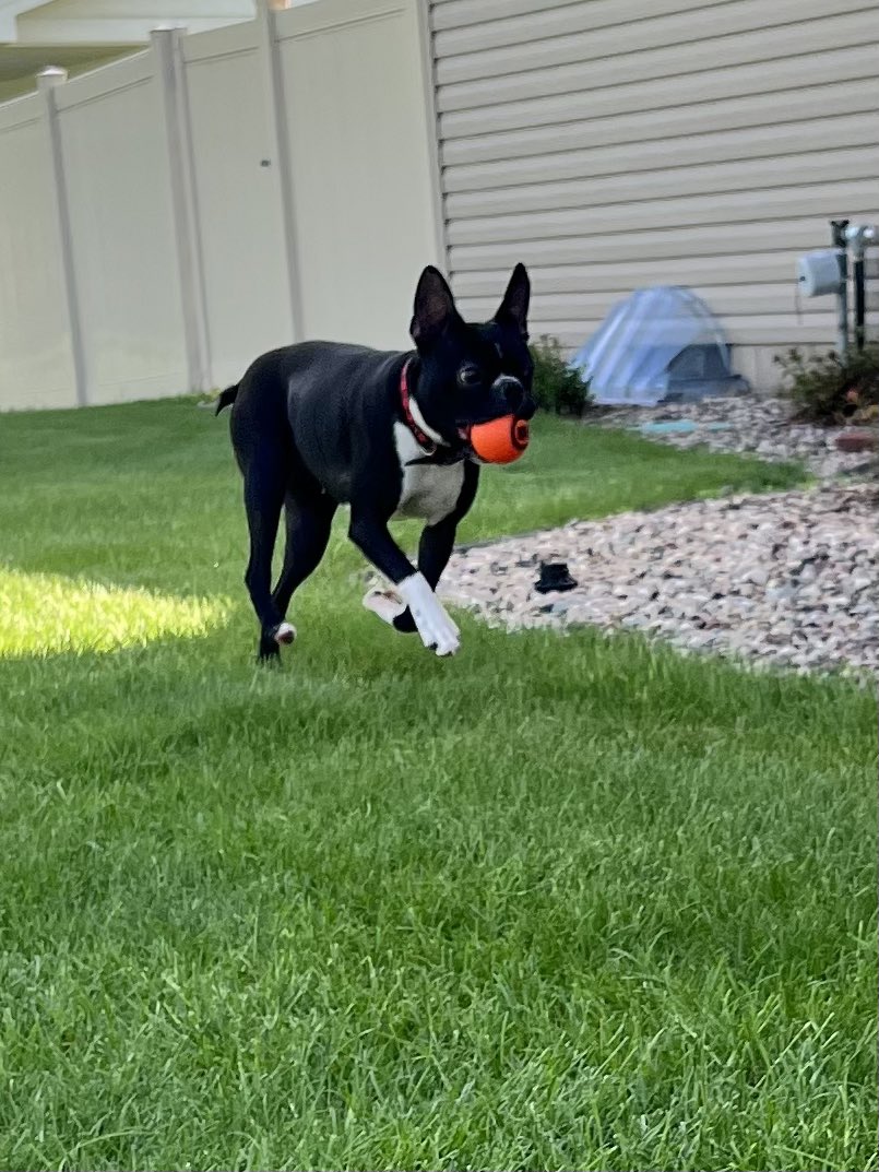 Melanie K tweet media