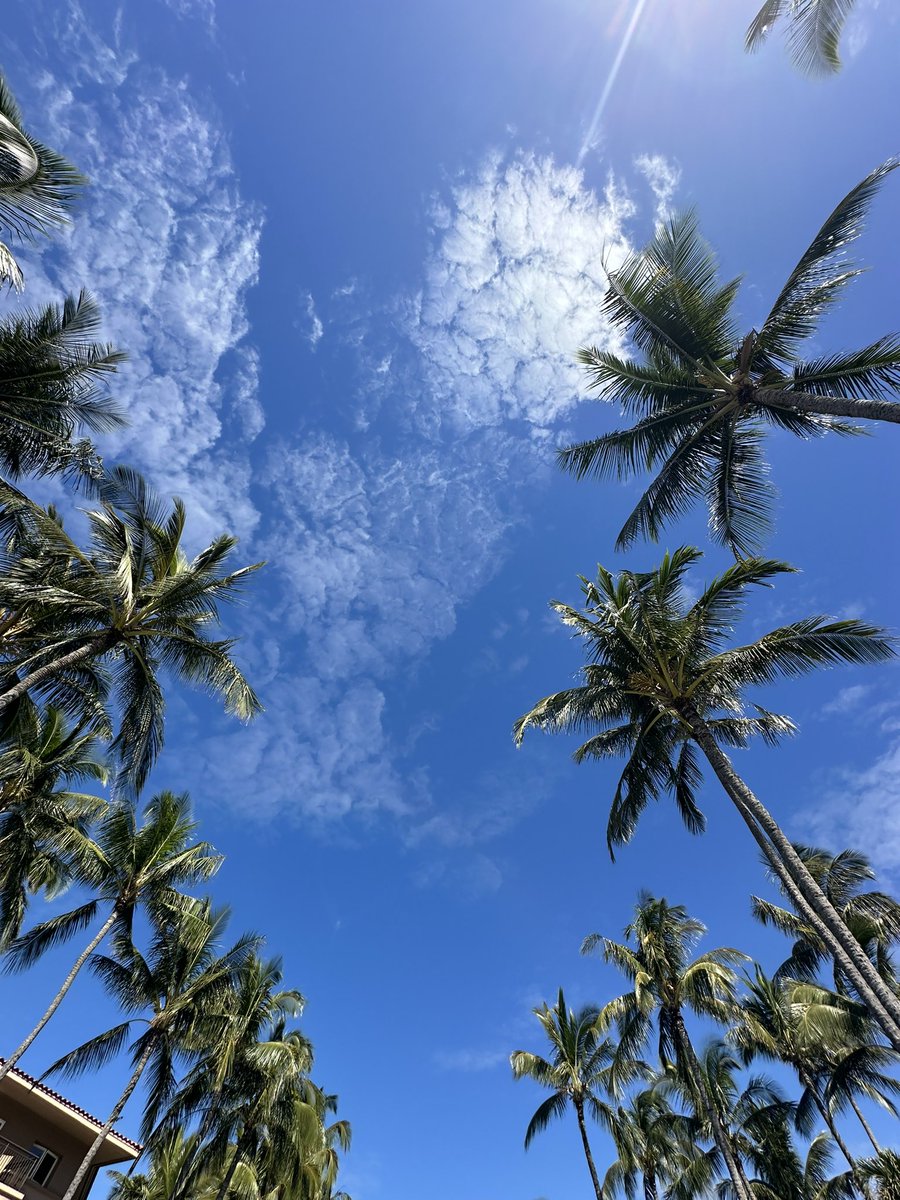 ColoradoMase's tweet image. #FUKC from Kauai