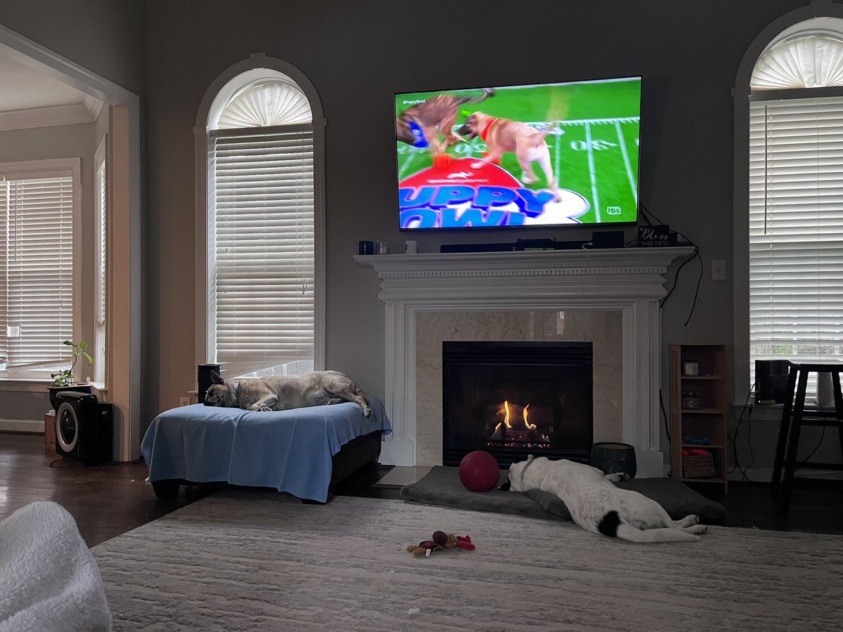 Compelling action.
#PuppyBowl