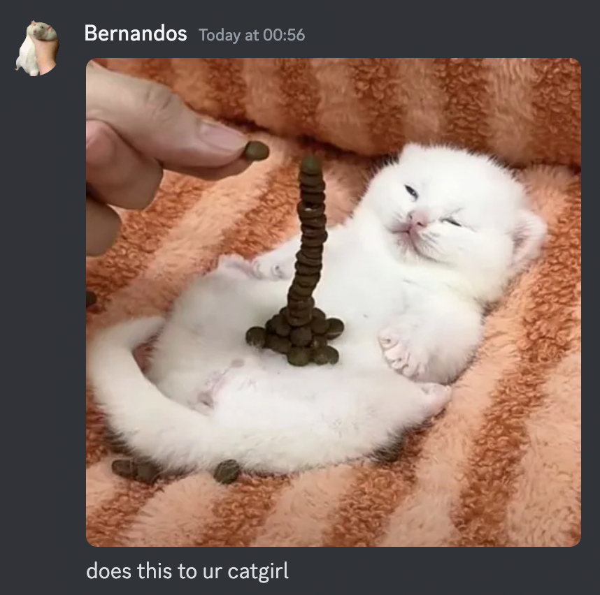 ... Why

(ft. <a href="/69RatsInATube/">RatTube</a>'s catgirl)