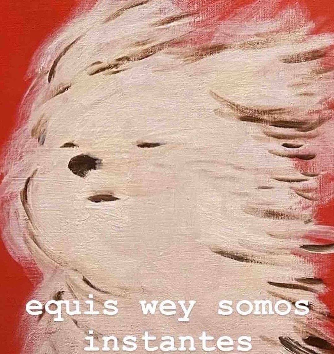 Lea Marin 💚 tweet media