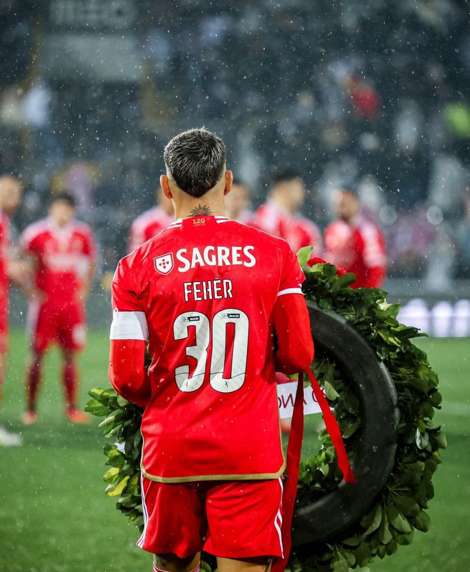 Rui Costa do Azeite (@rcostadoazeite) on Twitter photo 