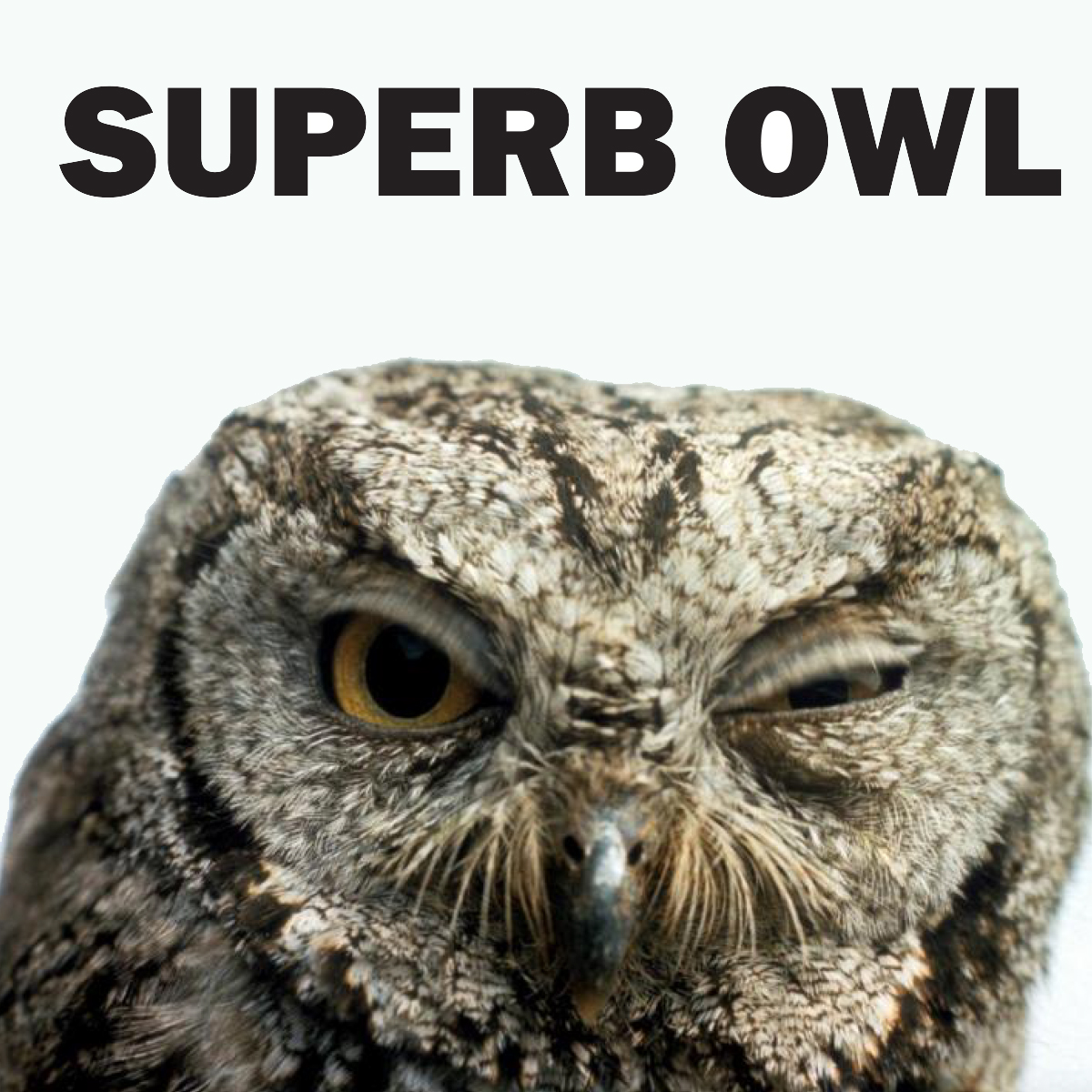 National Park Service tweet media