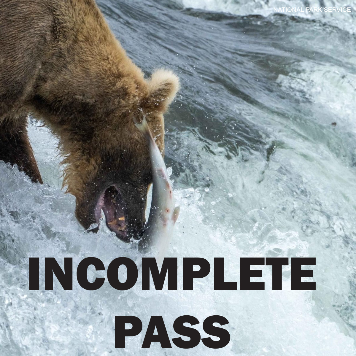 National Park Service tweet media