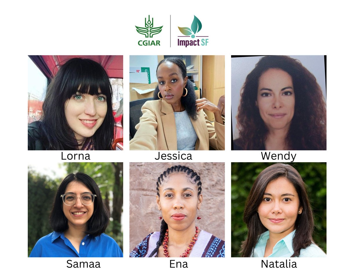 ImpactSF tweet media