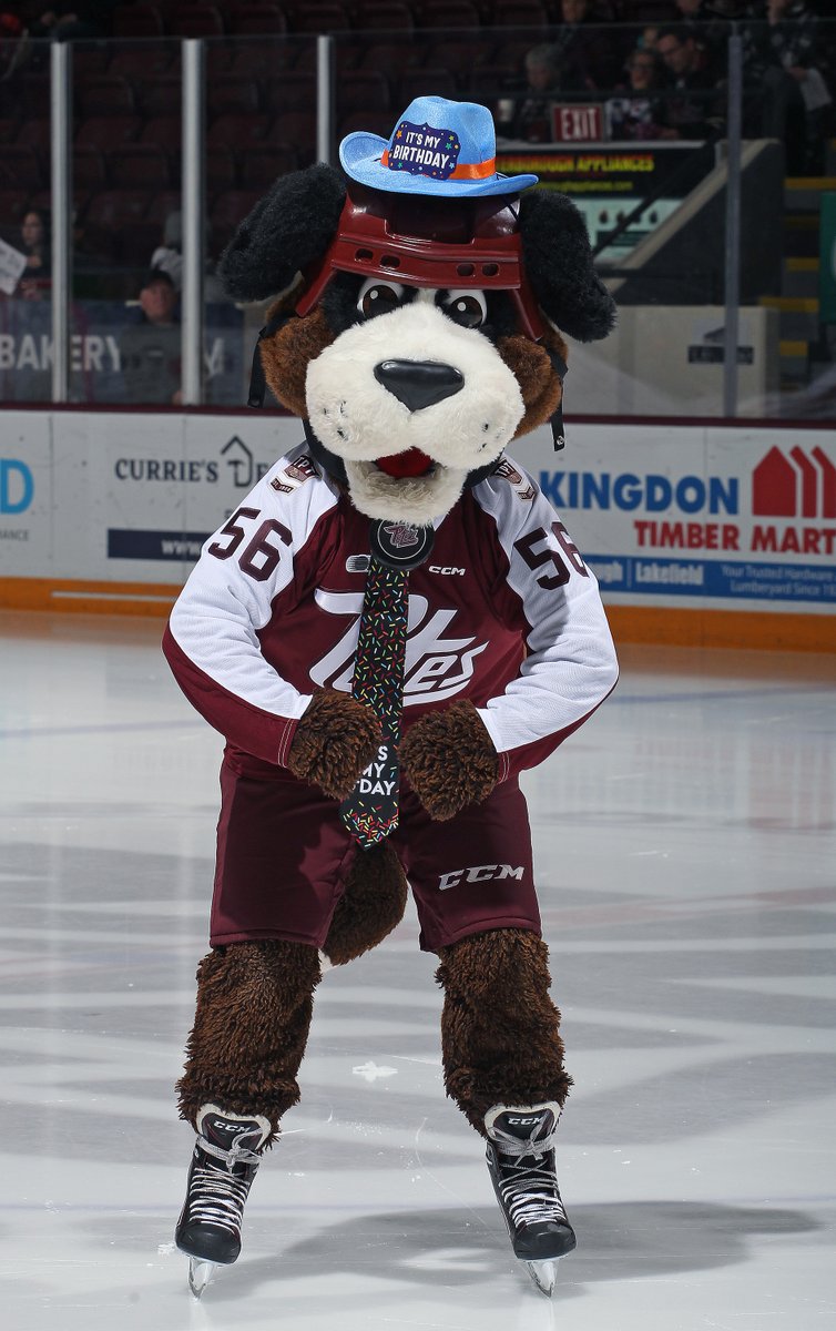 PetesOHLhockey's tweet photo. Here's a picture of our dog Roger from his birthday party! 🥳

Roger's so silly 😝

we lost 11-1 https://t.co/Kwo5gCHVXi