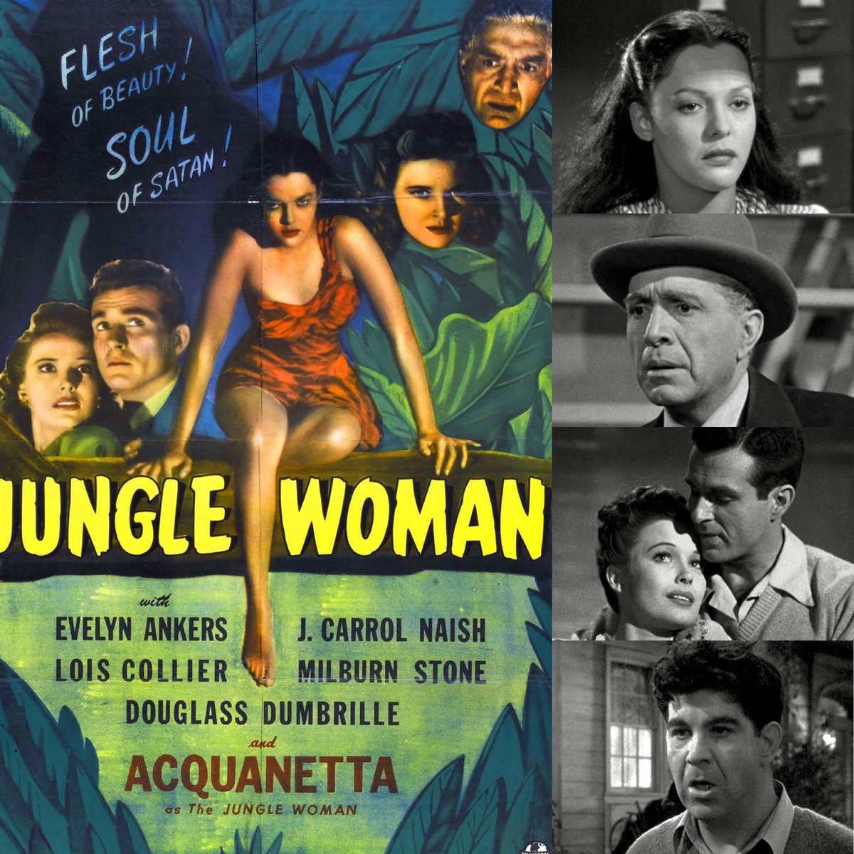 Kevin Bows 🐈🎞️🕰️ tweet media