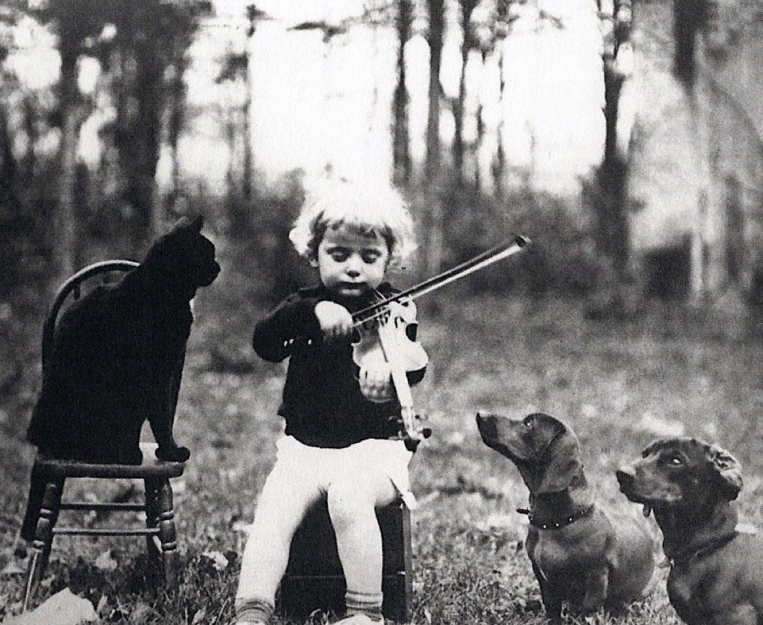 “Where words fail, music speaks” 

—Hans Christian Andersen.

📷Child playing the violin with cat and dogs by William Clift (1944)