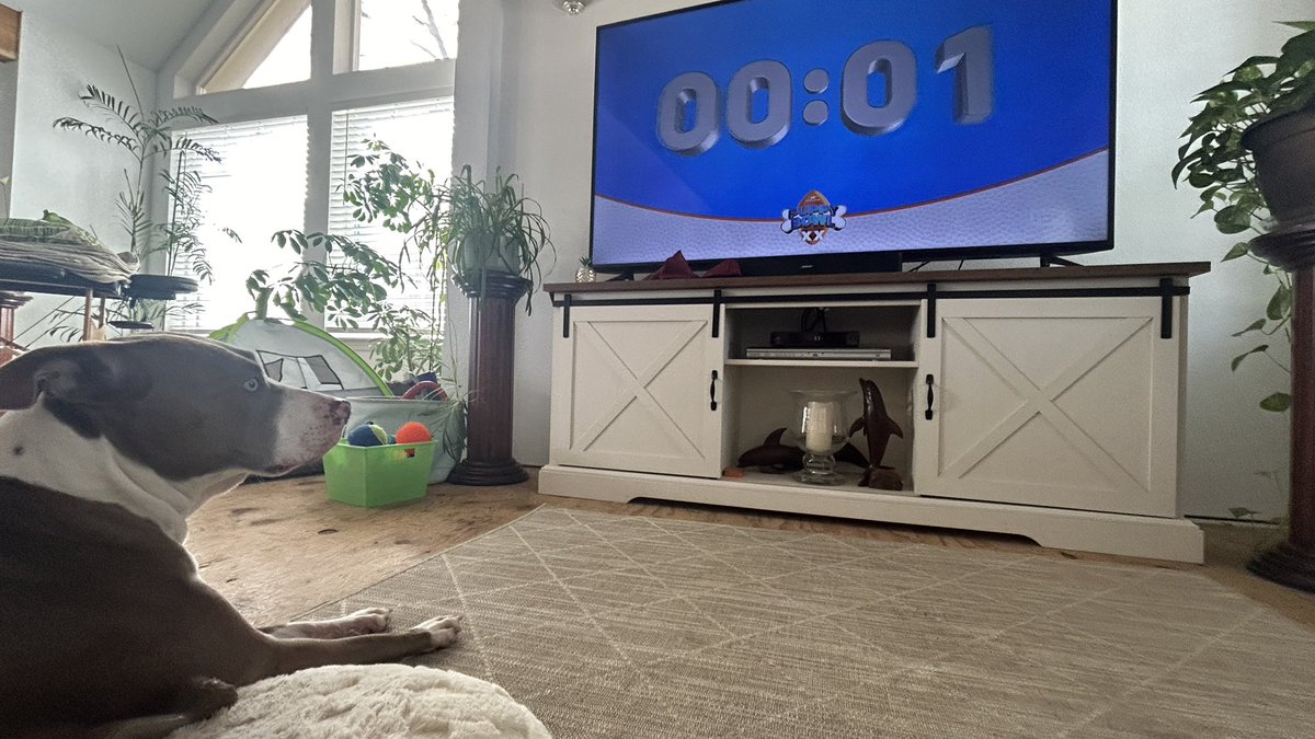 She still watching the #PuppyBowl