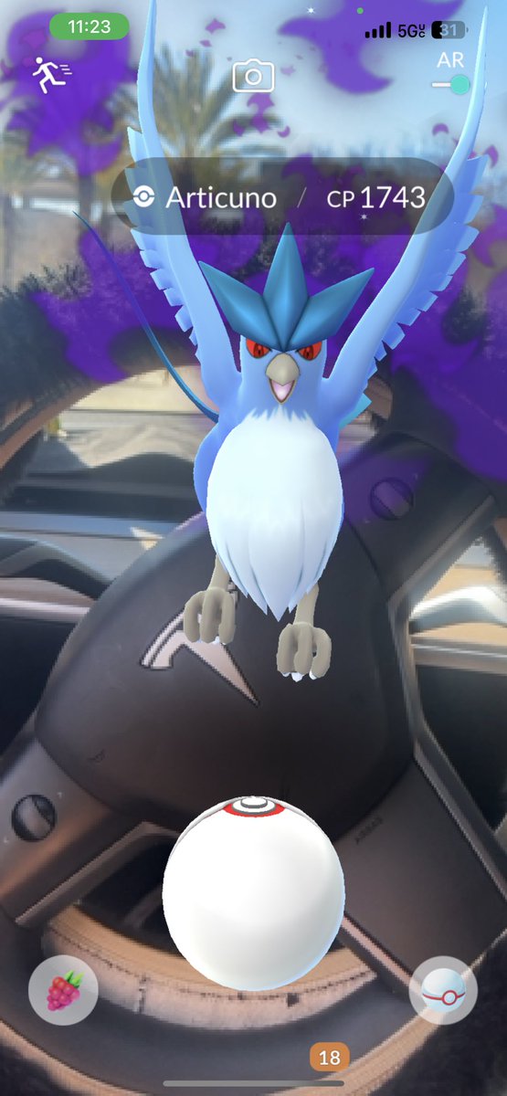 Shadow Hundo Articuno got the trio now 🥳🐦 <a href="/PokemonGoApp/">Pokémon GO</a> #Pokemon #Shadow #Perfect #Articuno #TeamInstinct #ILovePokemonGo