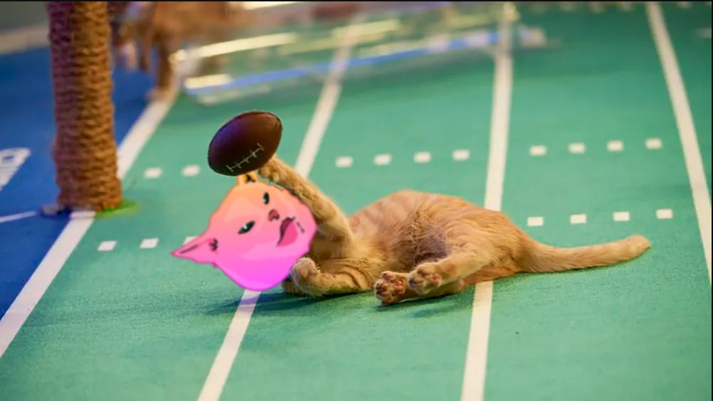 PUSSYFinancial's tweet photo. Who's excited for the Super Bowl? https://t.co/1mGaMvjpXI