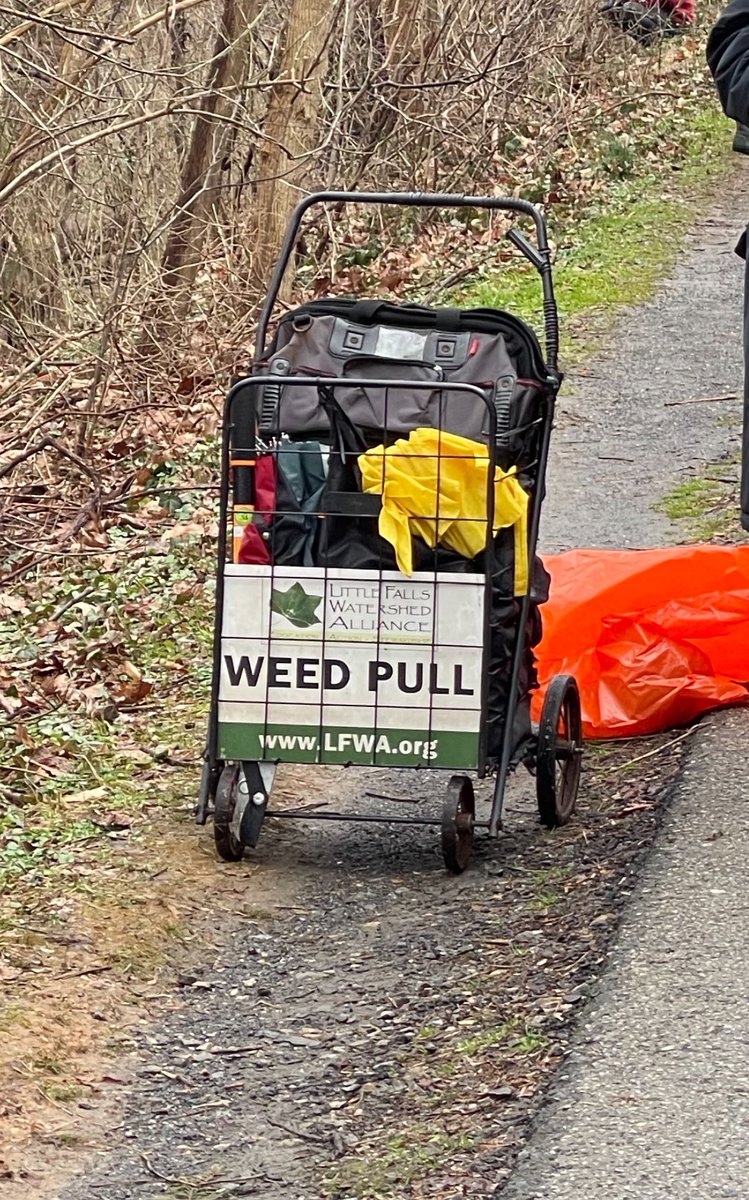 What rain?! So proud of our very own volunteering today in the rain with the Little falls watershed alliance for some weed pulling around the community. #jayzafoundation #service #community #giveback #grateful #weedpulling #littlefalls 🙌🏾