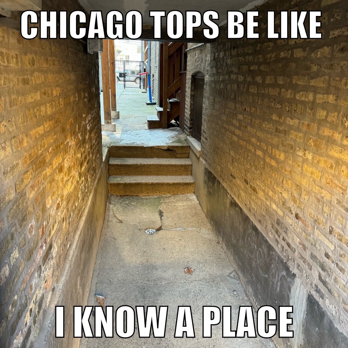 Chicago Dom Daddy tweet media