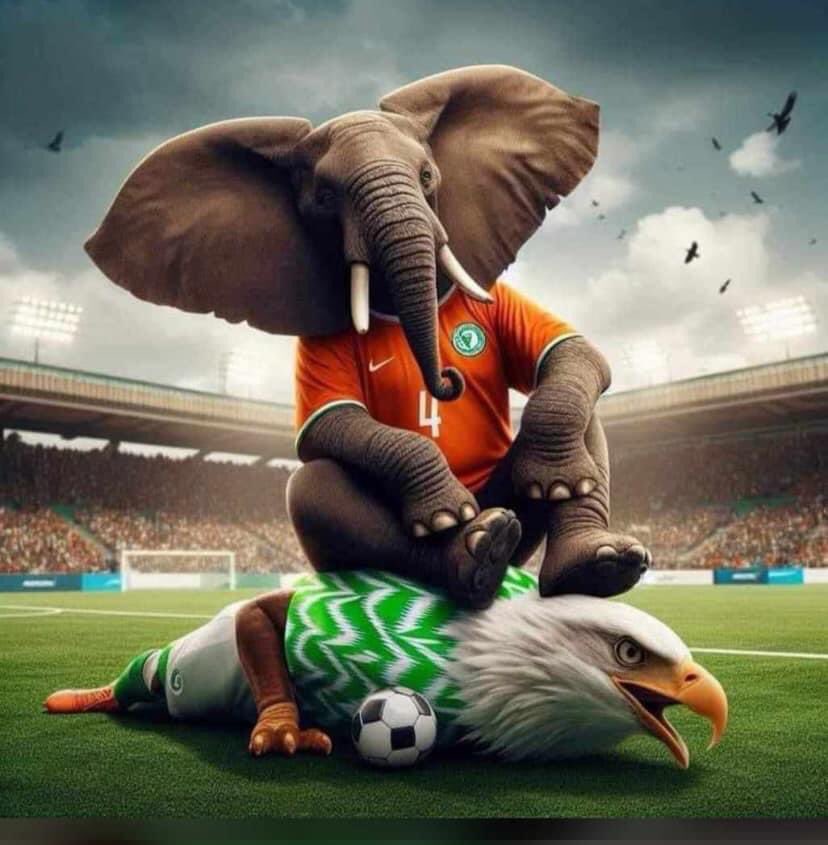 Nigerians didn’t see this coming 
Osssseeeyyyyyyy Ivory Coast 🇨🇮🇨🇮🇨🇮🇨🇮🇨🇮🇨🇮🇨🇮🇨🇮

As a Ghanaian, I’m super excited 😆😆😆😆😆#AFCONFinal