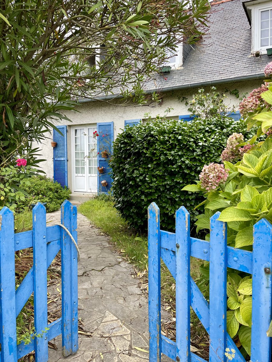 A French Collection tweet media