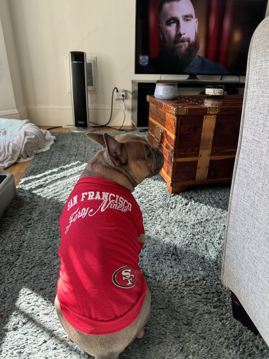 escorpuz's tweet photo. Alright T @taylorswift13 let’s make a bet if niners win you come give a concert for SF’s healthcare workers; if KC wins my dog will wear a chiefs shirt for a week what u think https://t.co/eMJXl1gLGU
