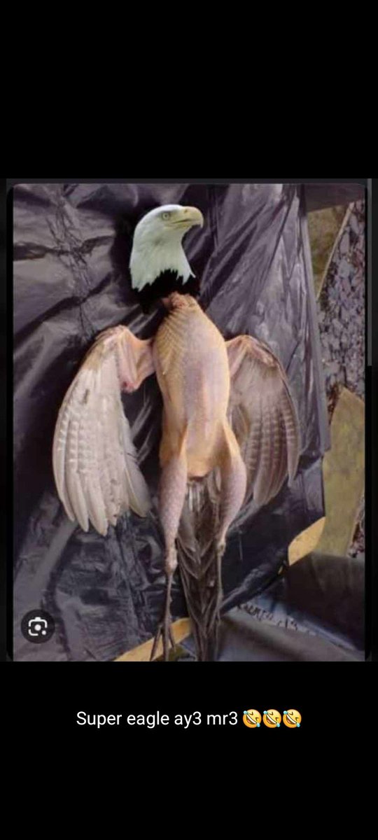 Quasi Junior 🇬🇭 tweet media