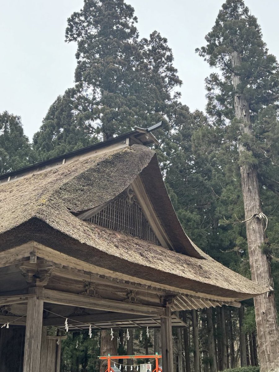 tuguo2's tweet image. 