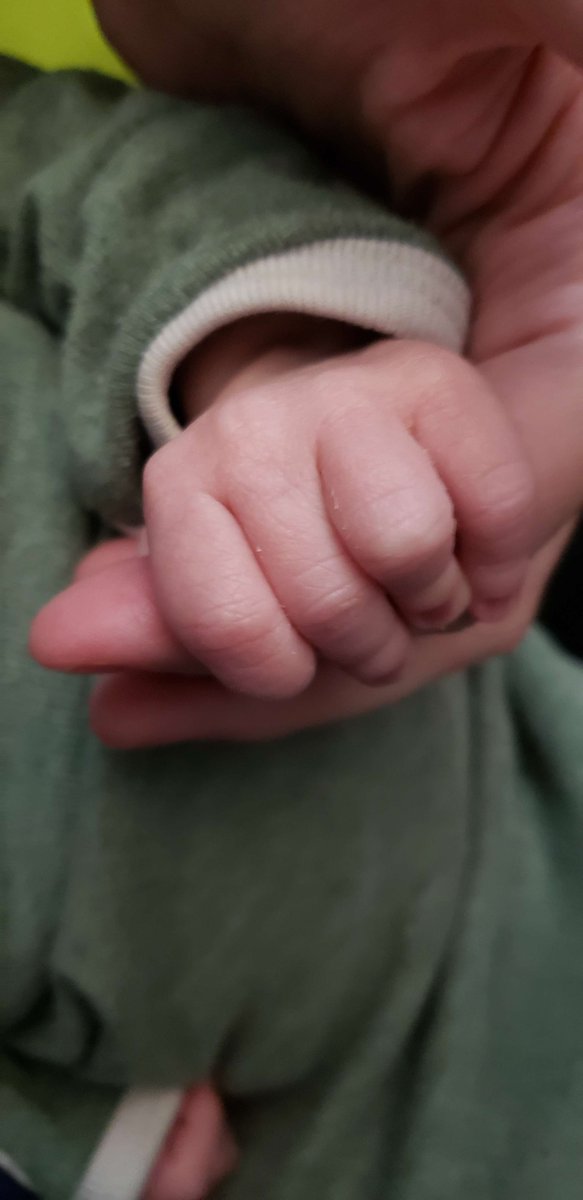 DatabaseRanger's tweet photo. It's been a crazy few weeks of family bonding, but we wish to officially introduce you all to our newest Baby Brode, RJ's little sibling, who will henceforth hold the online moniker of BB! https://t.co/4R2rWCJv24