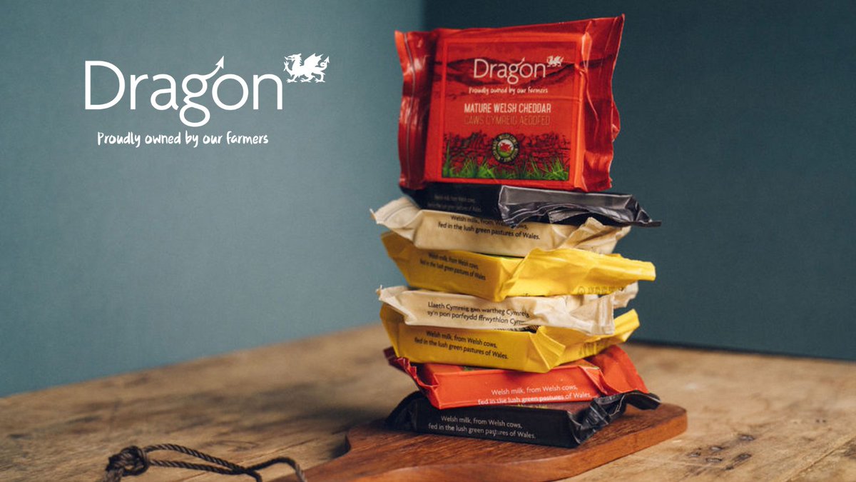 Savour Dragon Cheddar's farm-to-table goodness, crafted by @sccwales Wales' oldest farmer cooperative. Made with the finest Welsh milk, our cattle graze on lush pastures for that unrivalled taste. 🧀🏞️ #welshmilk #dragondairy #cooperative #febudairy