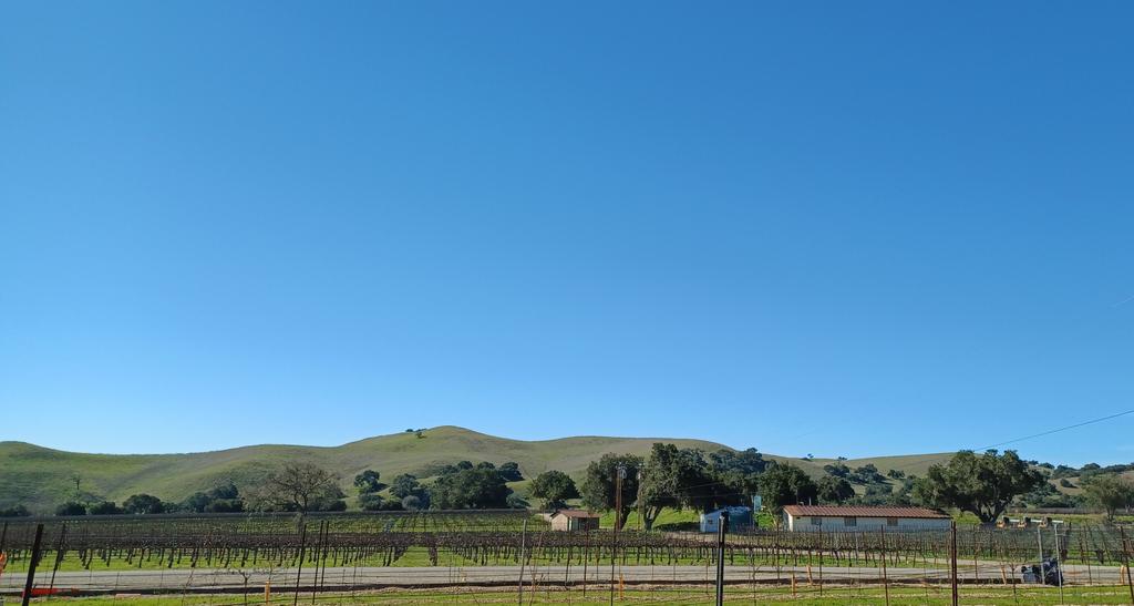 nowthethingis's tweet photo. Perfect day #vacationmode Outside @firestonevineyard https://t.co/7NUBWZhm9h