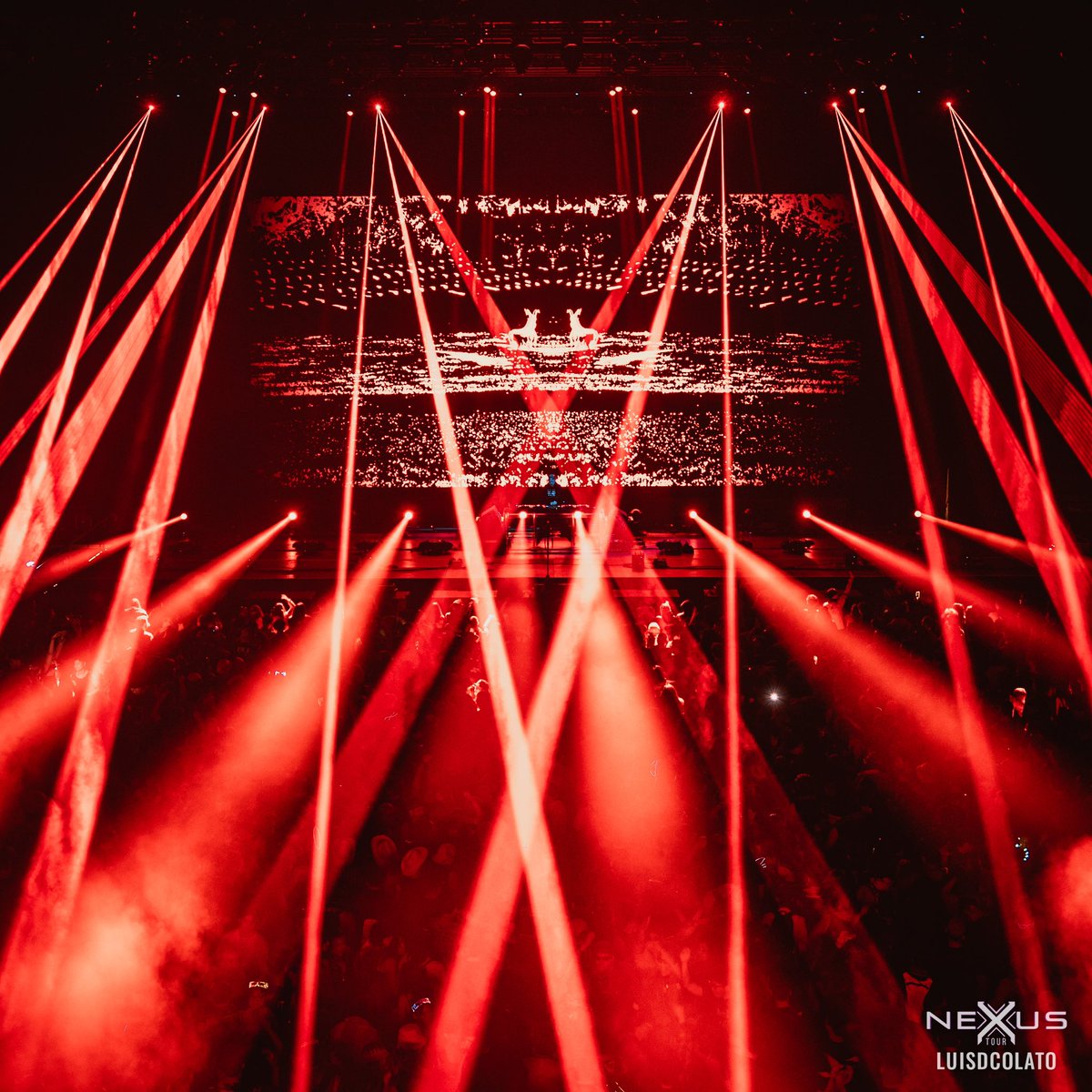 excisionpresent's tweet photo. . @jkylxhyde was a Ruckus last night 💥 https://t.co/RfsfNfmPFU