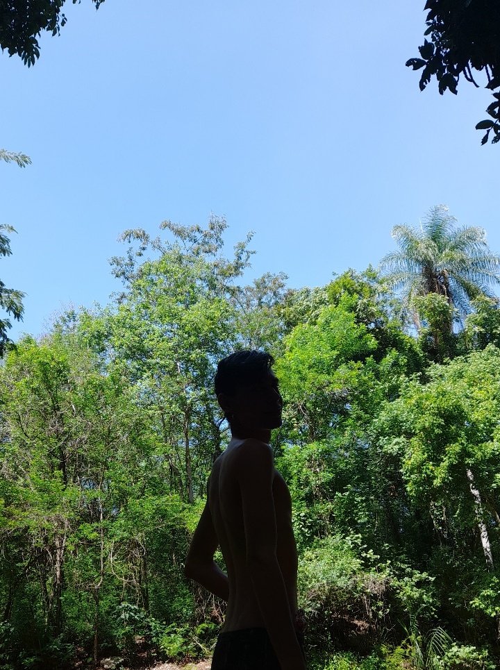 Vitorsoaresvs_'s tweet photo. Carnaval também pede tranquilidade e sossego✌🏻💚
.
#bloquinhodanatureza https://t.co/FDdsrc7OcX