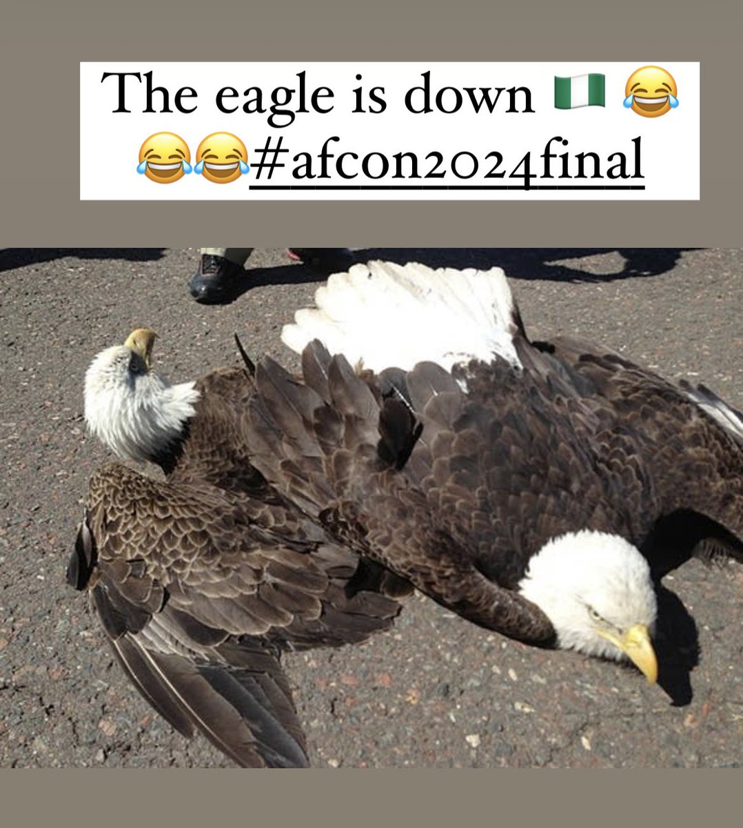 Koade92's tweet photo. 🔊📣🗣️May Day May Day, the eagle is down, I repeat, the eagle is down😂😂😂😂😂🇳🇬. 
#AFCONFinal
We will finally have peace on the internet 🇬🇭 https://t.co/zBOpRvpMzD
