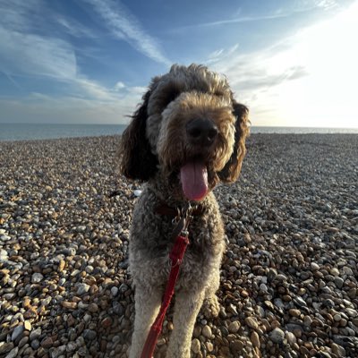 #NewProfilePic