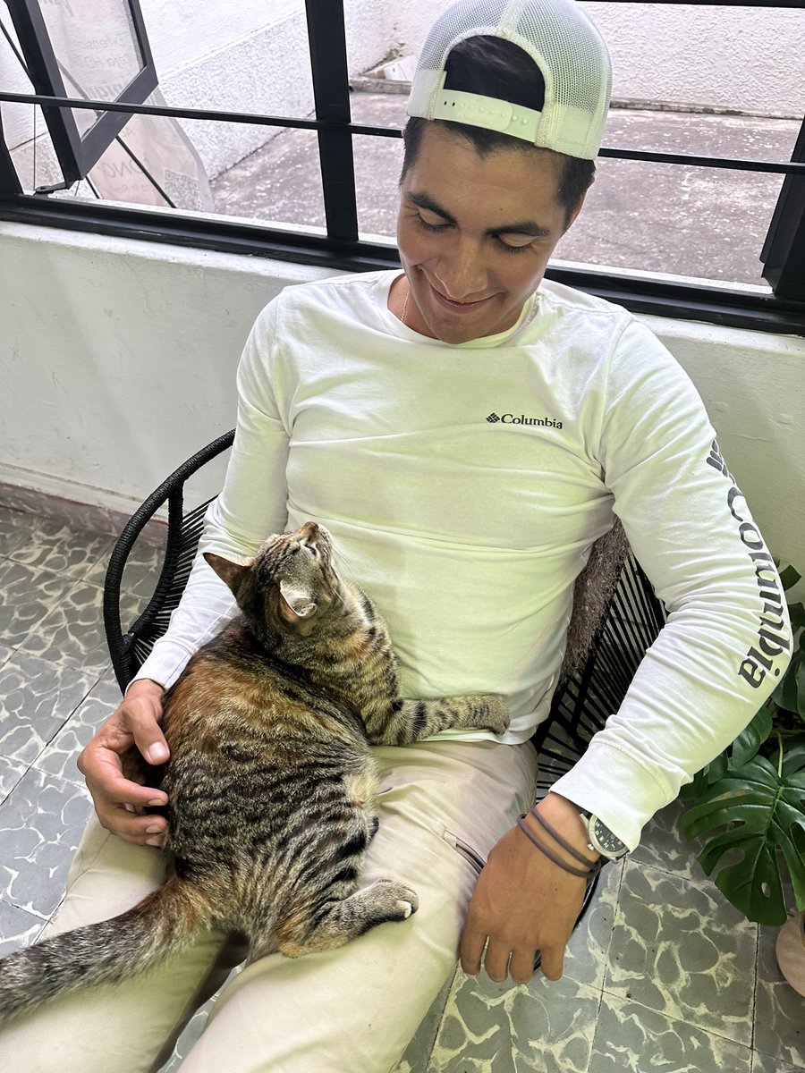 itzelvasquezr's tweet photo. Apreciemos esta foto de mi hermanito @IamMemoVR teniendo un momento con un gato random. 😍😍😍 https://t.co/ENIaAe2xvi
