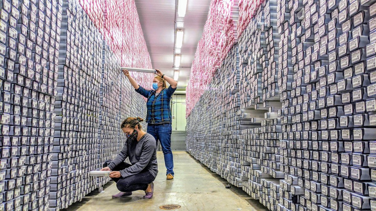 anzic_iodp tweet picture