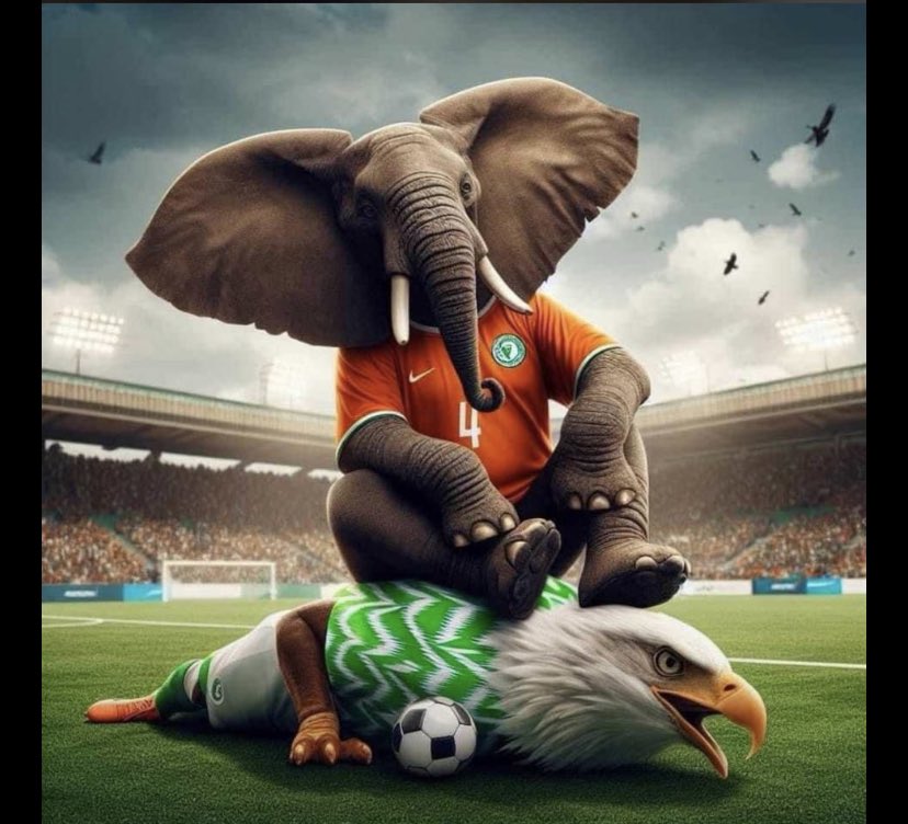 AkosuaDaisy's tweet photo. The Eagle has been shot down😂😂😂😂😂😂 #AFCONFinal https://t.co/x3mZKNQqQ4