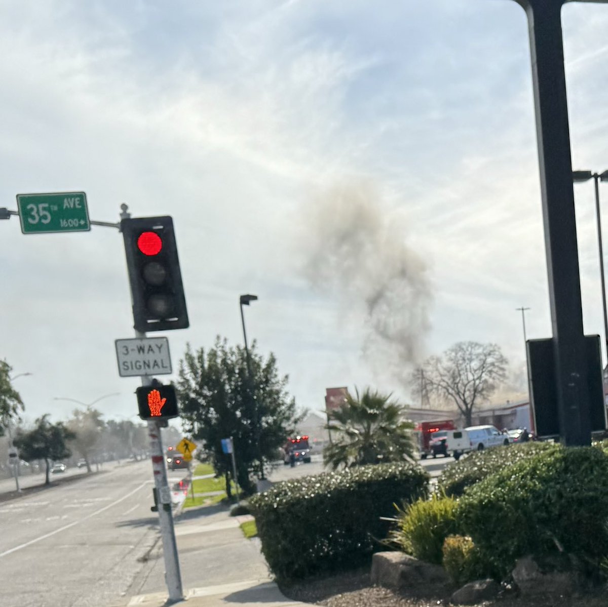 South Land Park tweet media