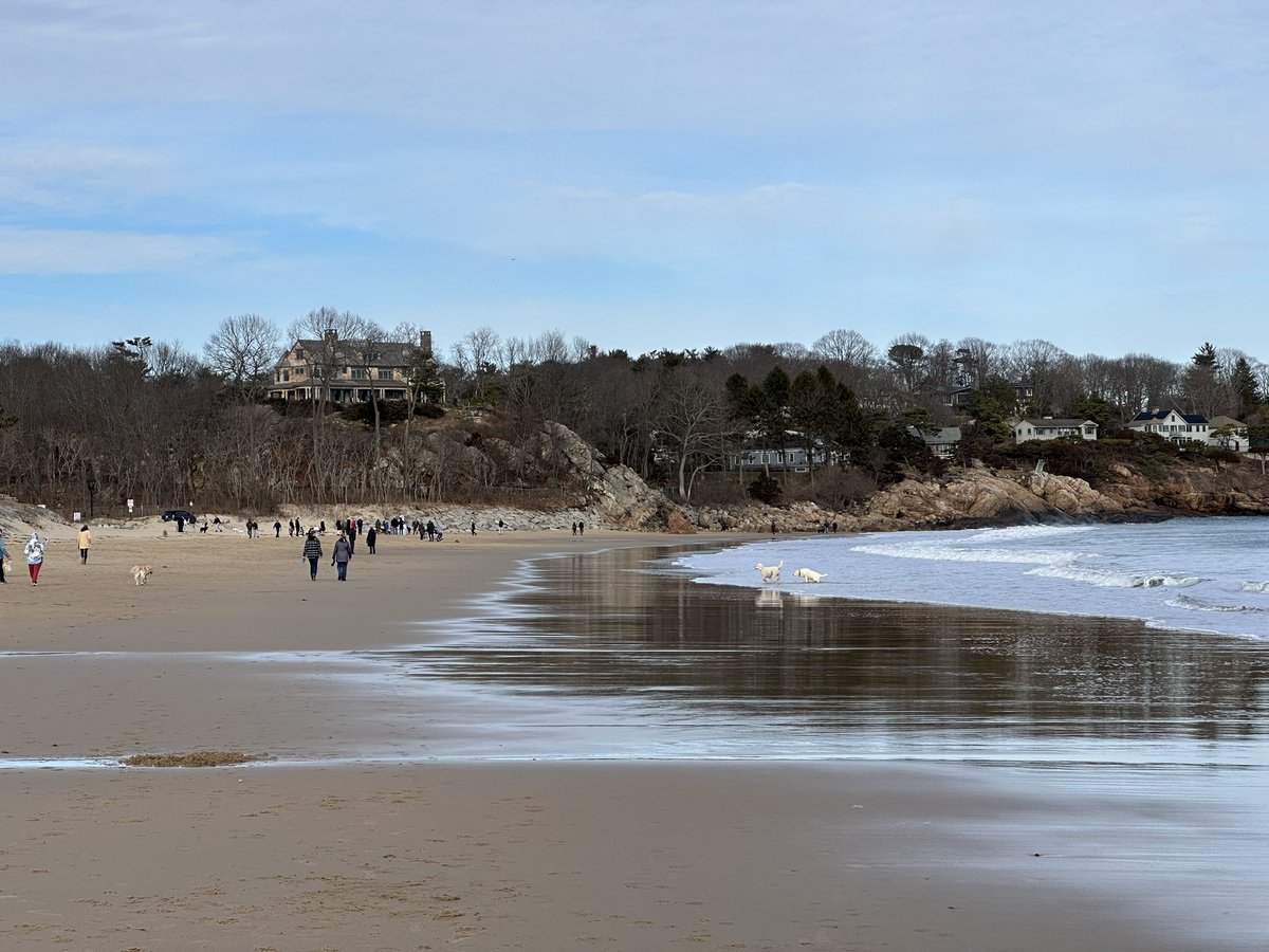 MartinaCurtin's tweet photo. Day 42 #100Daysofwalking
Winter walk on Singing Beach.
#SingingBeach #NorthShore
#SundayFunday #SuperBowl2024
@mnamheiricea @NTBreakfast @NewstalkFM https://t.co/VexVYzzBwu