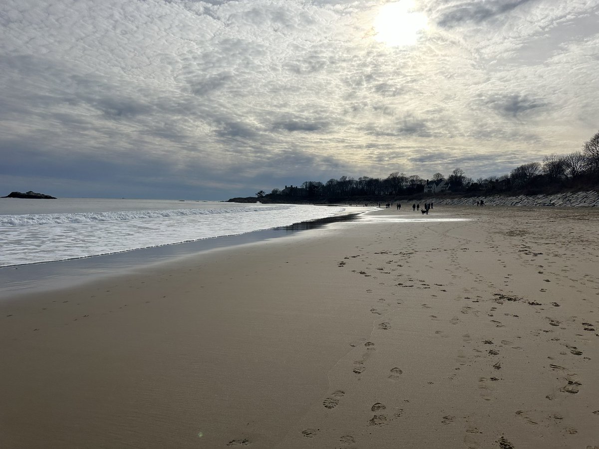 MartinaCurtin's tweet photo. Day 42 #100Daysofwalking
Winter walk on Singing Beach.
#SingingBeach #NorthShore
#SundayFunday #SuperBowl2024
@mnamheiricea @NTBreakfast @NewstalkFM https://t.co/VexVYzzBwu