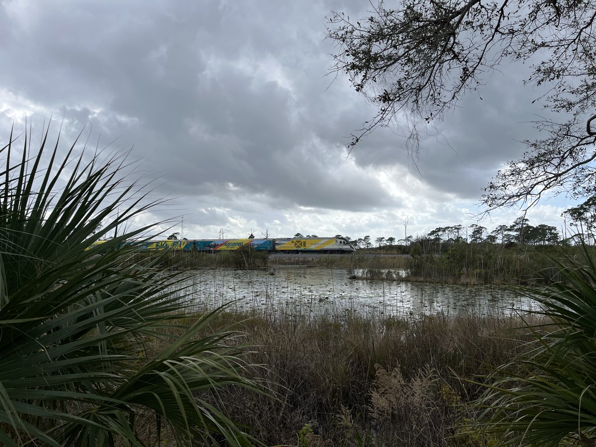 crs354's tweet photo. Brightline Passing through Jonathan Dickenson Park https://t.co/fA2If7CRUn
