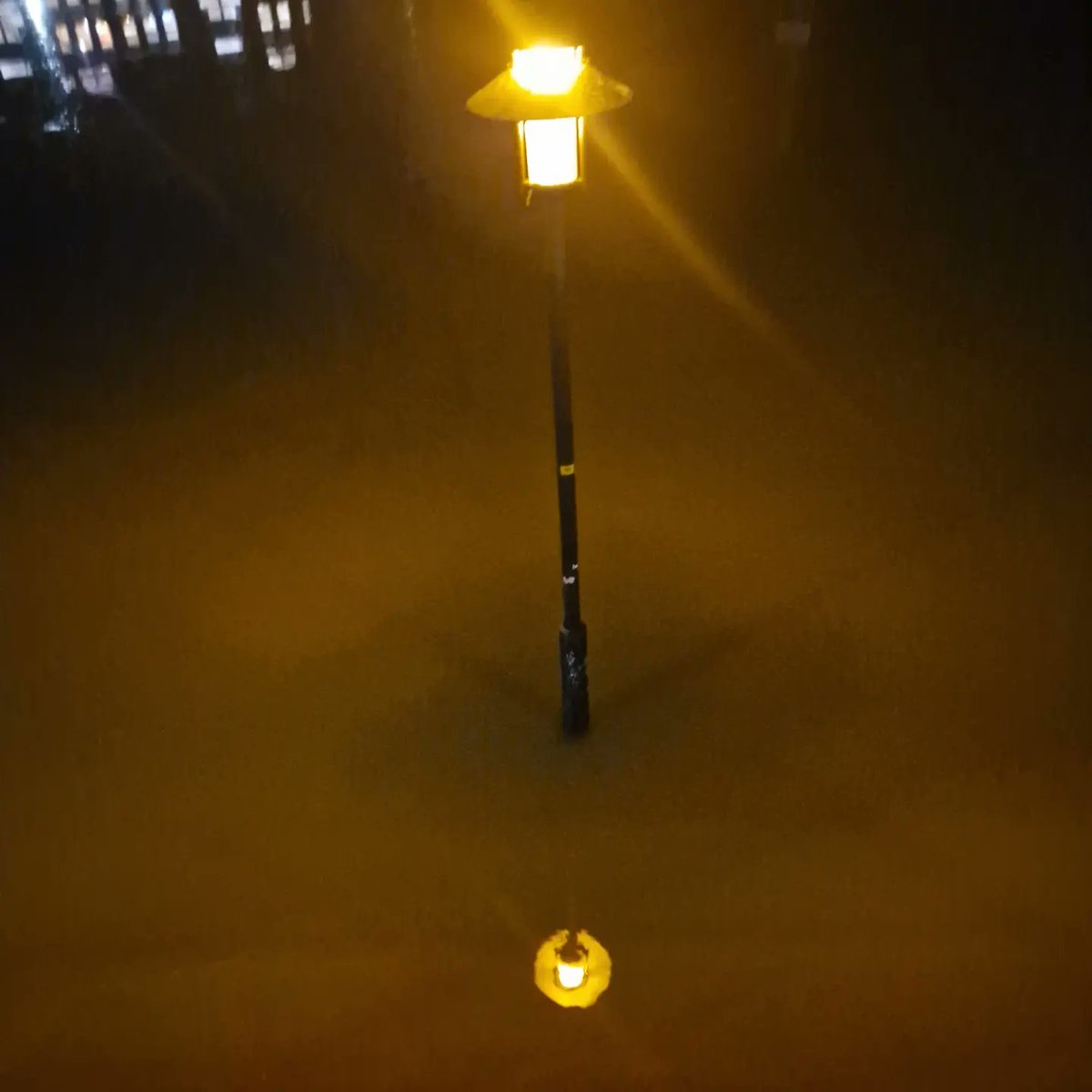 Marco Mout tweet media