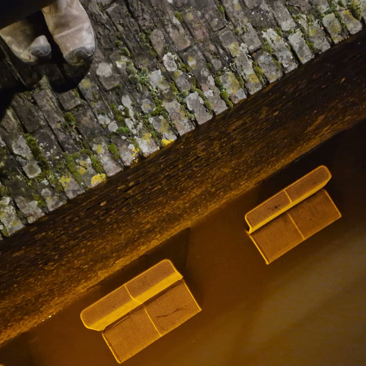 Marco Mout tweet media