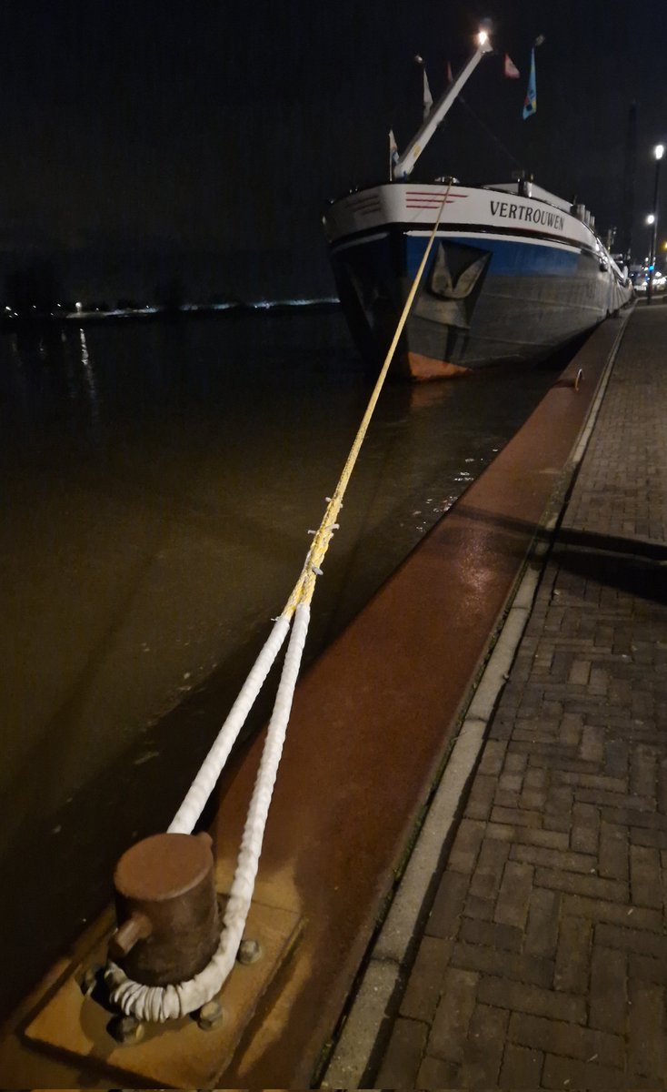 Marco Mout tweet media