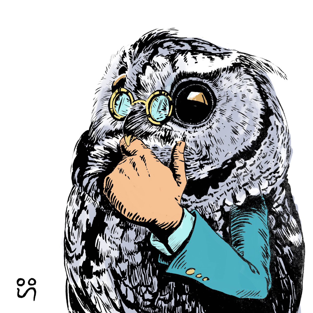 Who is this Owl and why is it so Superb?

#SuperBowl