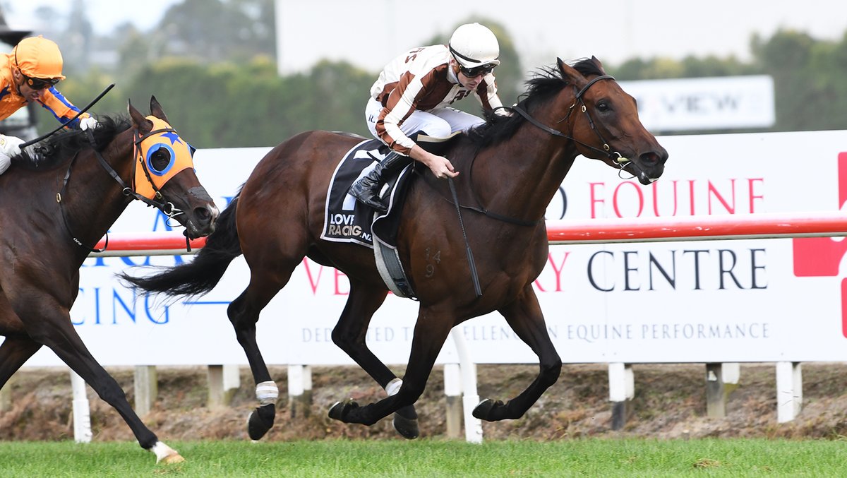 KarakaChat's tweet photo. Legarto (NZ) Lands Third Group One 🏆
Superstar Karaka graduate #Legarto (NZ) (Proisir) added another string to her bow at @TeRapaRacing on Saturday, stretching out beyond 1600 metres for the first time and scoring a superb win in the $600,000 G1 Herbie Dyke Stakes (2000m). 🎉
With her victory in New Zealand’s richest weight-for-age race, Legarto improved her career record to 13 starts for nine wins, two placings and $1.8m in stakes. She was bought by Ancroft Stud for $90,000 from @highlineTbreds’ Book 2 draft at Karaka 2021. 👏
“I’m elated,” he said. “There’s only one downside to it – that Bev can’t be here to witness it. Her health hasn’t been the best. But I’m sure she gave that couch a bit of a hiding at home. It’s just a shame that she can’t be here to enjoy it.
Read more 📰: https://t.co/aZdKtY57pJ
#WhereWinningBegins✨