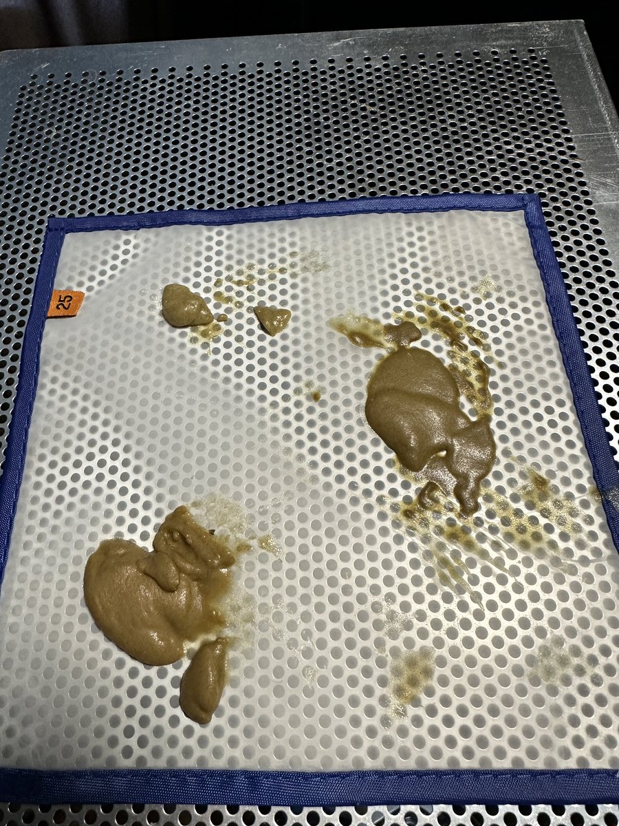 Justin🚀Time tweet media