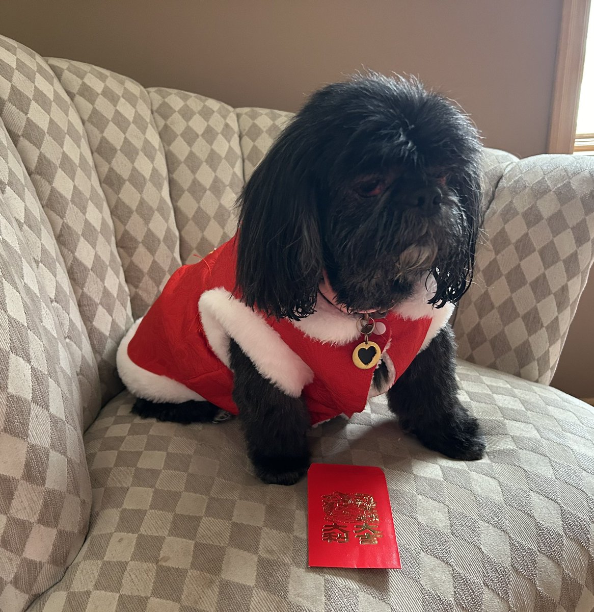 LenaMimimom's tweet photo. @bunsenbernerbmd Happy Lunar New Year from Mimi https://t.co/7ZT44gquyN