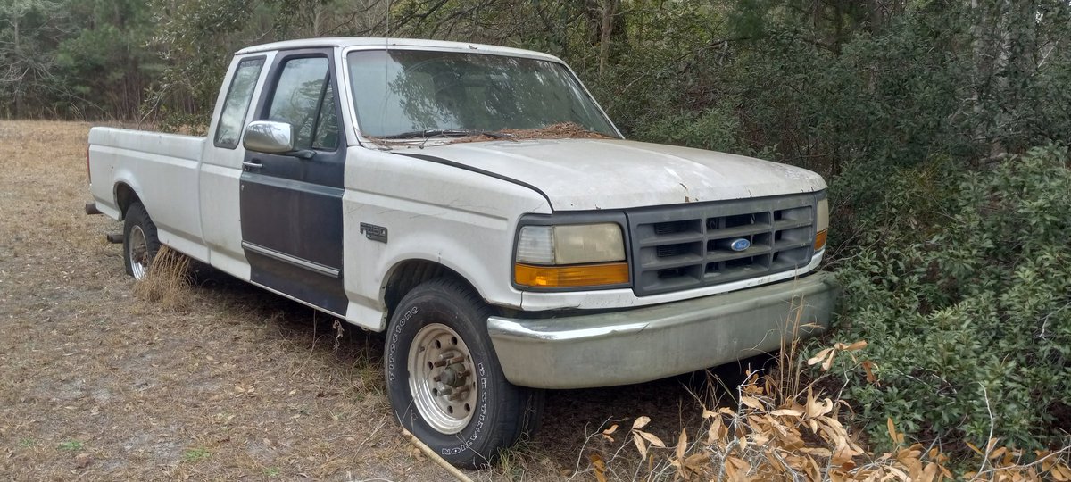 Would you go for a ride in him? Would you like to read about me bringing him back to life after years of living in the trees? Stay tuned with <a href="/ResearchLeisure/">Leisure Research Institute</a>