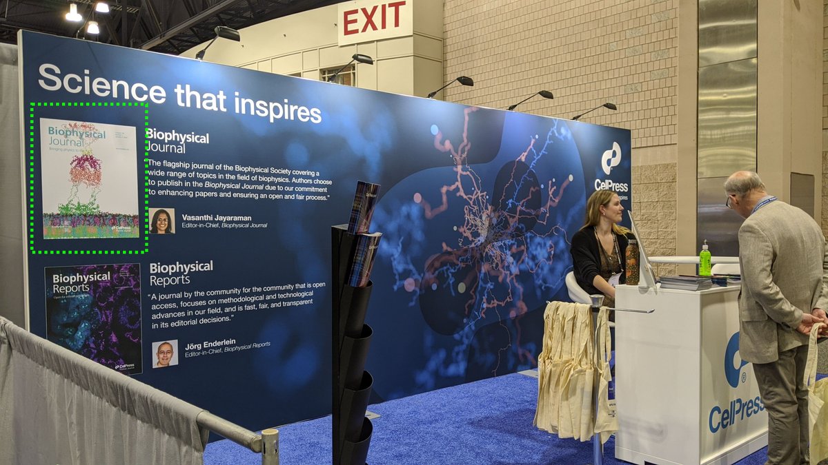 Excited to see a figure from my recent paper showcased on the poster <a href="/BiophysJ/">Biophysical Journal</a> booth #BPS2024