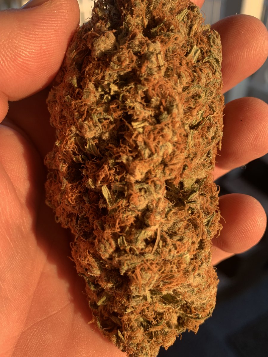 Loupey Gardener tweet media