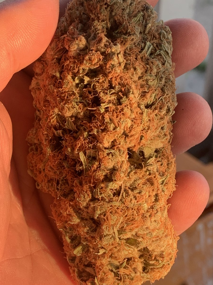 Loupey Gardener tweet media