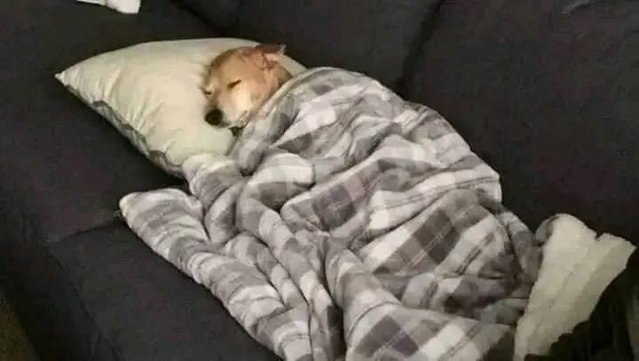 قد لا ينام البعض بسبب خساره شئ ما

انا بعد ما خسرت كل حاجه :